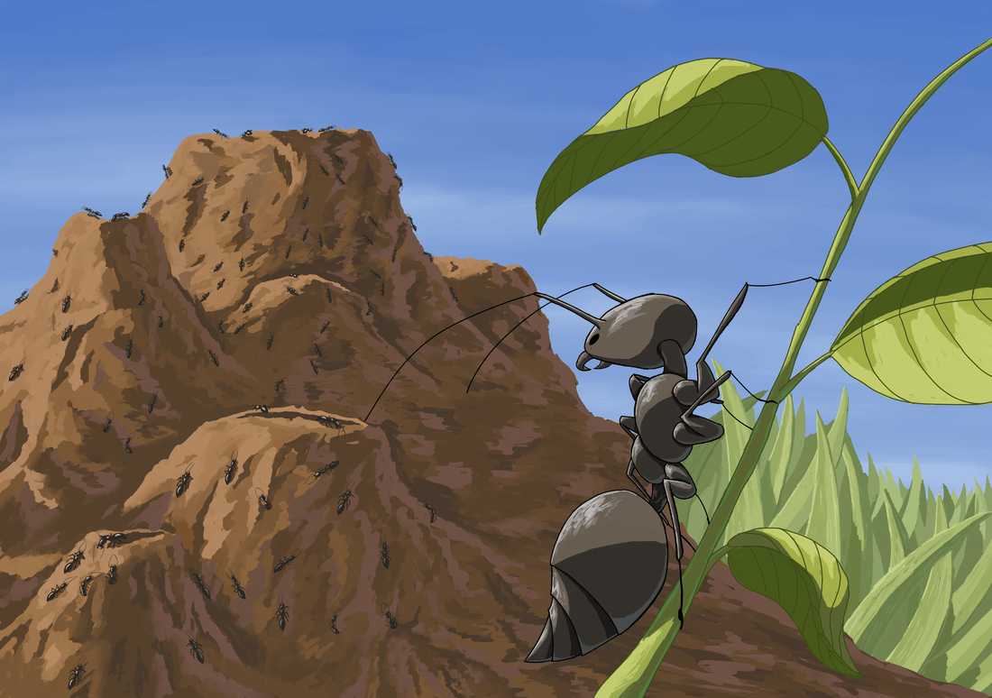 Portfolio project: Ant simulator background
