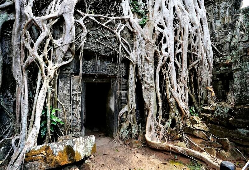 Travel media: Cambodia unsplash angkorwat