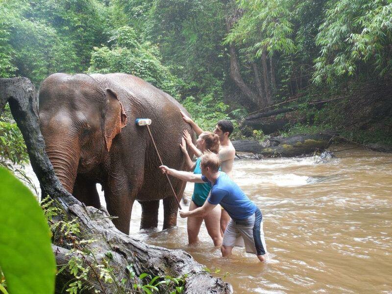 Krong Siem reap elephant